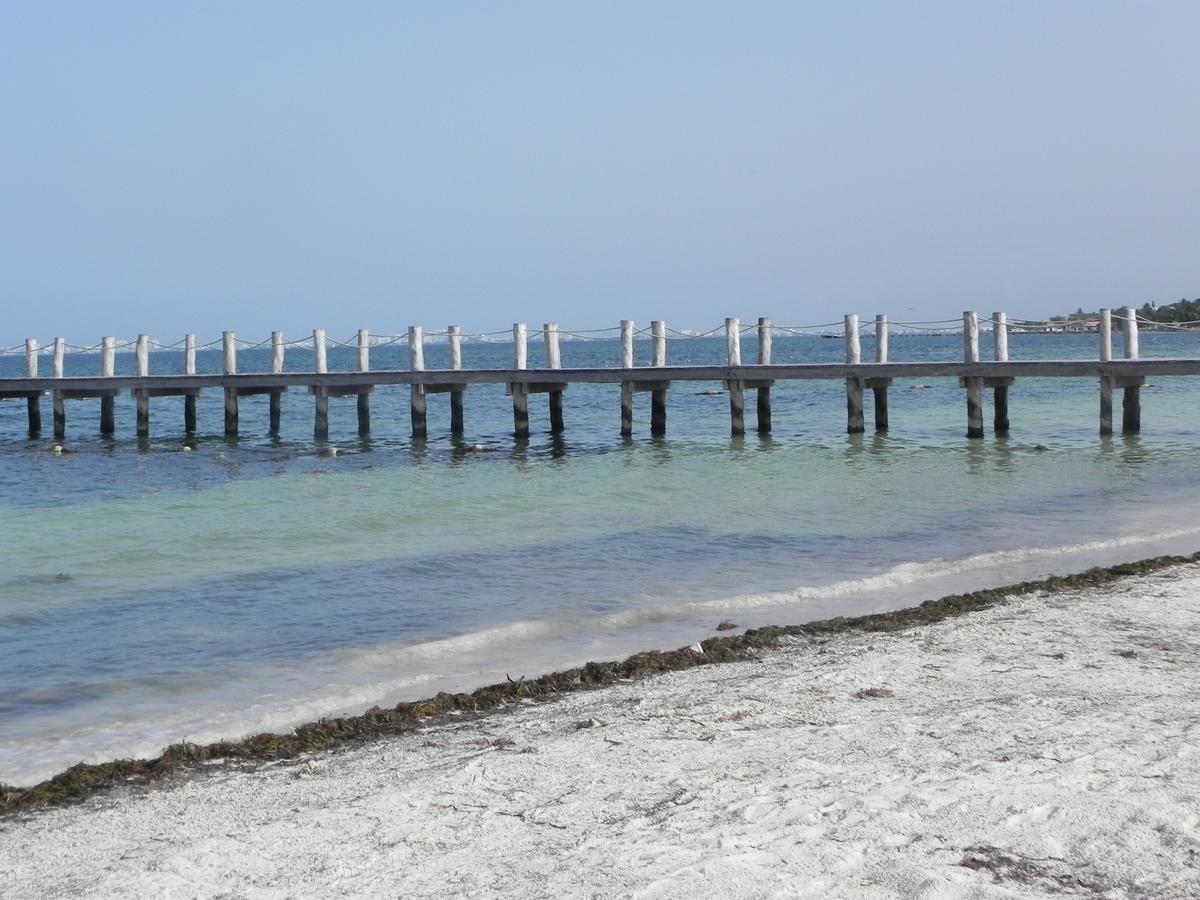 Punta Sam Pansiyon Cancun Dış mekan fotoğraf